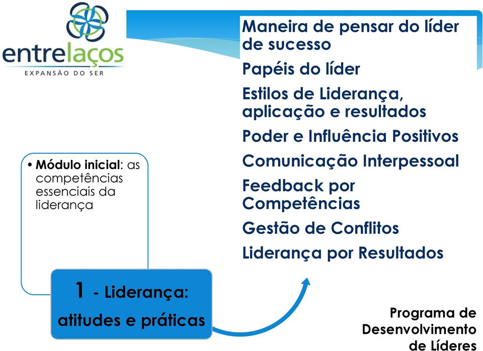 aplicação e resultados Poder e Influência Positivos Comunicação Interpessoal Feedback