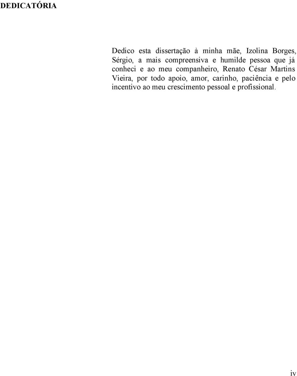 companheiro, Renato César Martins Vieira, por todo apoio, amor,