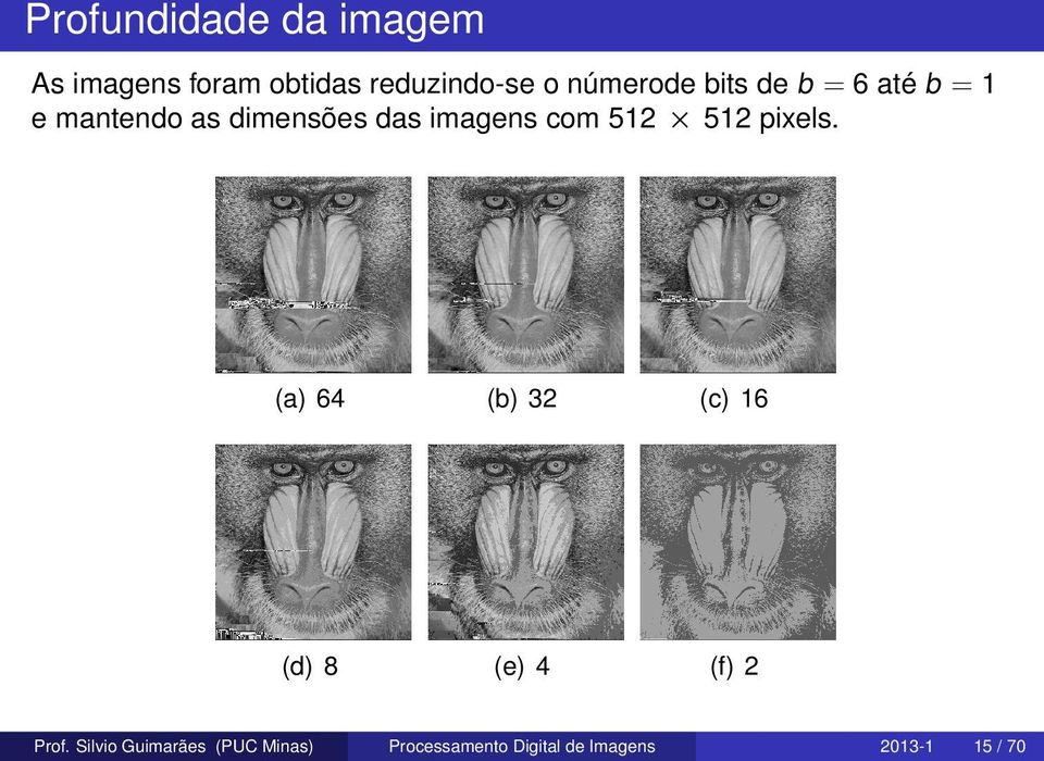 com 512 512 pixels. (a) 64 (b) 32 (c) 16 (d) 8 (e) 4 (f) 2 Prof.