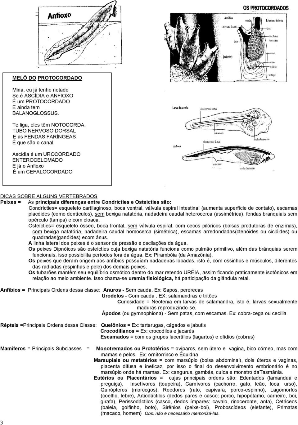 Ascídia é um UROCORDADO ENTEROCELOMADO E já o Anfioxo É um CEFALOCORDADO DICAS SOBRE ALGUNS VERTEBRADOS Peixes = As principais diferenças entre Condrícties e Osteícties são: Condrícties=