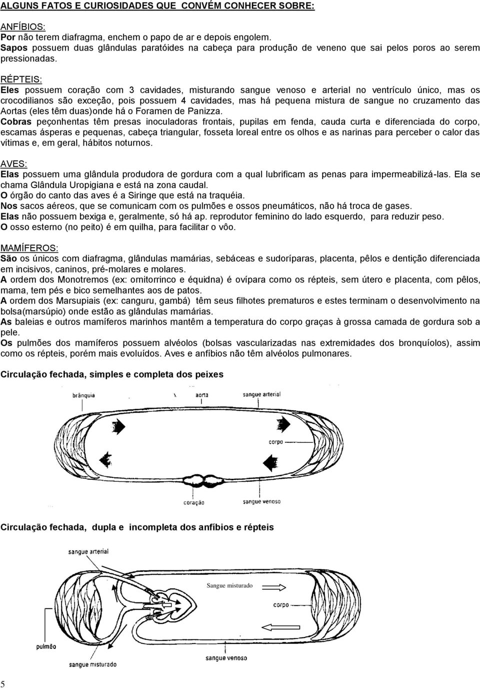 RÉPTEIS: Eles possuem coração com 3 cavidades, misturando sangue venoso e arterial no ventrículo único, mas os crocodilianos são exceção, pois possuem 4 cavidades, mas há pequena mistura de sangue no