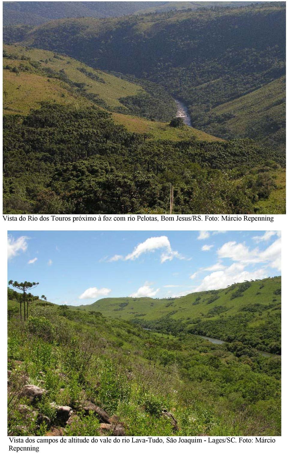 Foto: Márcio Repenning Vista dos campos de