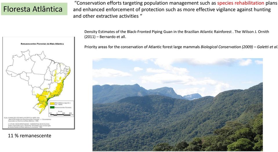 Estimates of the Black-Fronted Piping Guan in the Brazilian Atlantic Rainforest. The Wilson J.