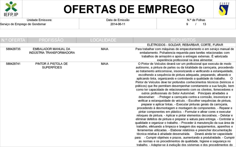 O Pintor de Veículos deverá ser um profissional que executa de modo autónomo, a pintura de partes ou da totalidade da carroçaria, procedendo ao tratamento anticorrosivo, insonorizando e verificando a