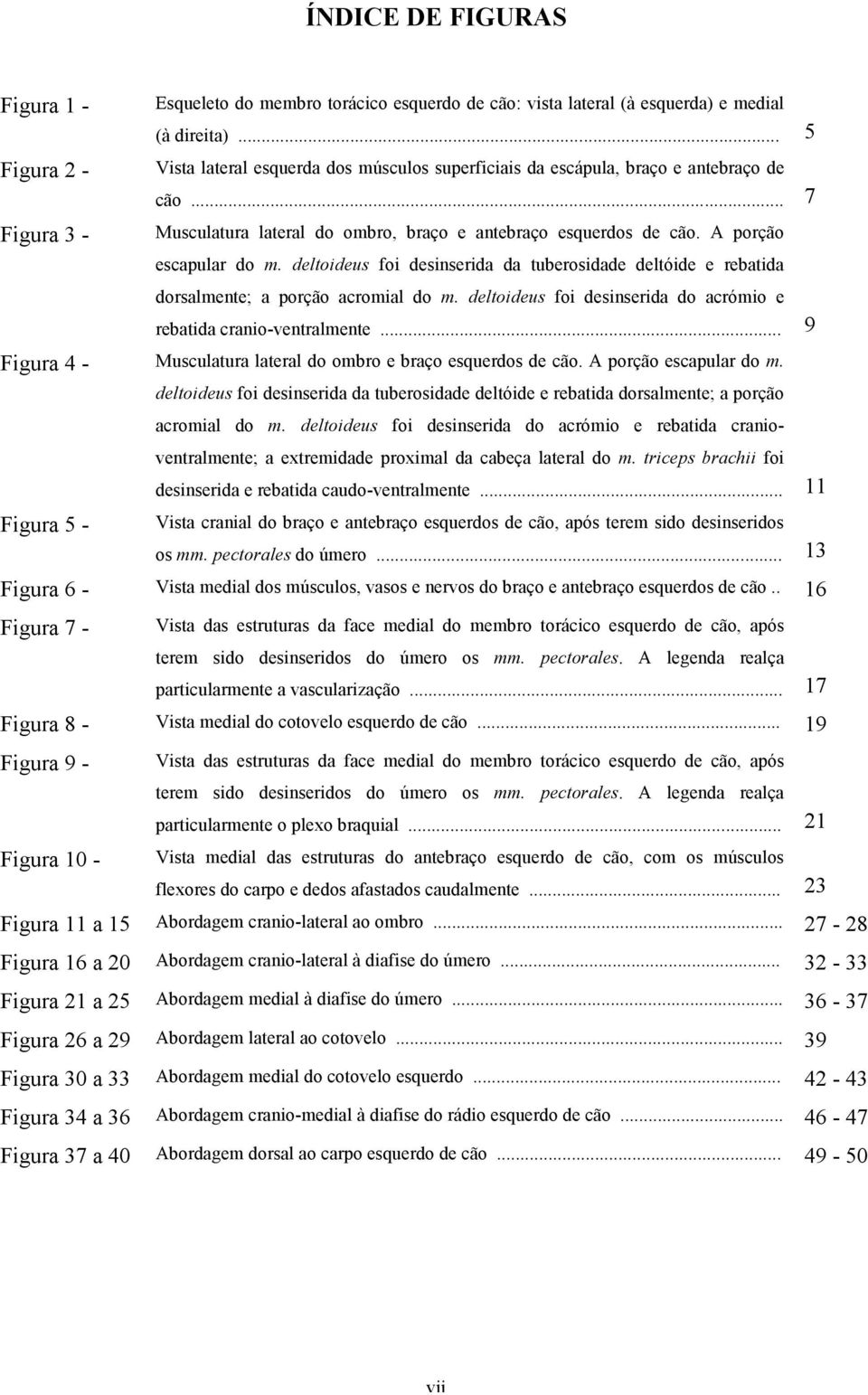 deltoideus foi desinserida da tuberosidade deltóide e rebatida dorsalmente; a porção acromial do m. deltoideus foi desinserida do acrómio e rebatida cranio-ventralmente.