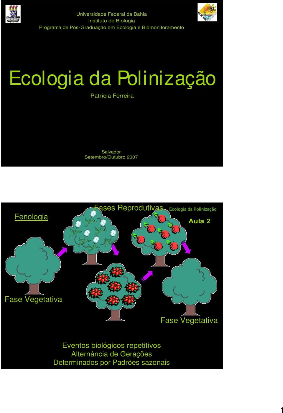 Fenologia Fases Reprodutivas Fase Vegetativa Outono Inverno Primavera Verão Eventos