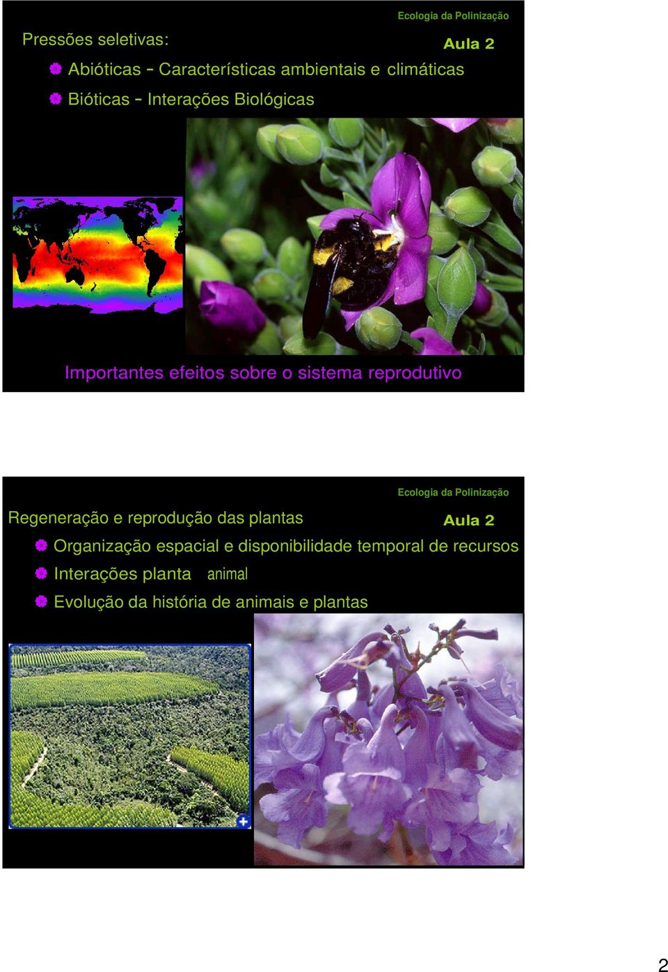 Regeneração e reprodução das plantas Organização espacial e disponibilidade