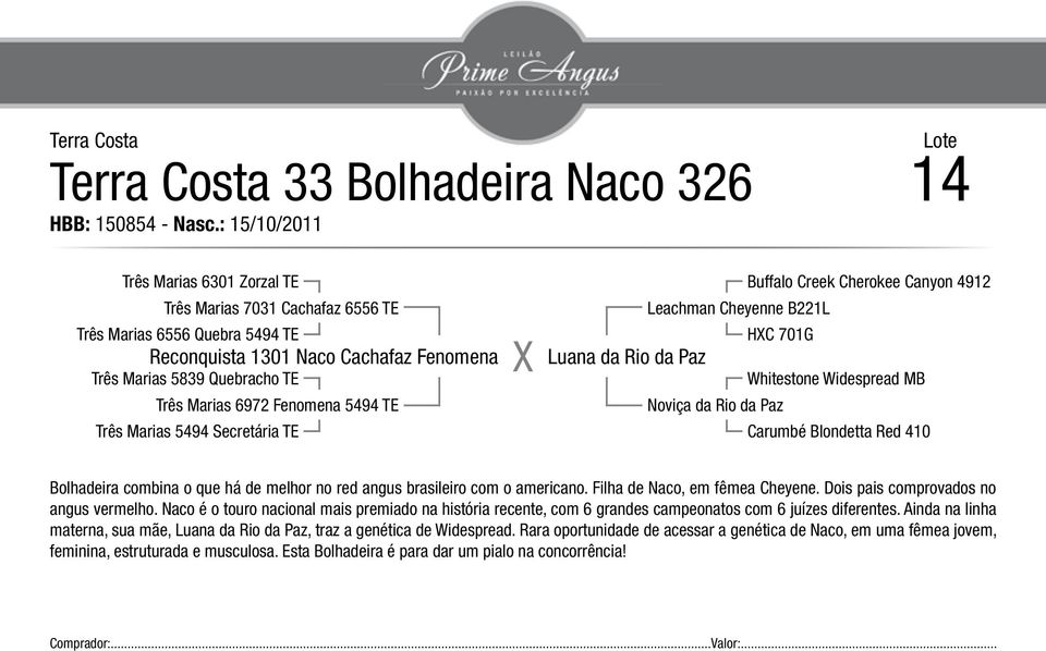 Fenomena 5494 TE Três Marias 5494 Secretária TE Buffalo Creek Cherokee Canyon 4912 Leachman Cheyenne B221L HC 701G Luana da Rio da Paz Whitestone Widespread MB Noviça da Rio da Paz Carumbé Blondetta