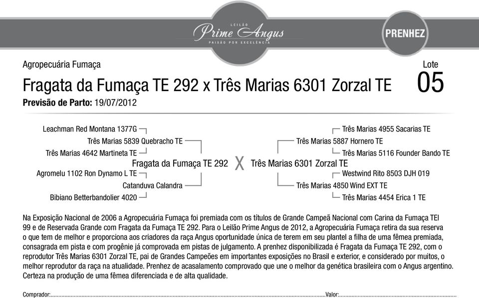 Marias 6301 Zorzal TE Westwind Rito 8503 DJH 019 Três Marias 4850 Wind ET TE Três Marias 4454 Erica 1 TE Na Exposição Nacional de 2006 a Agropecuária Fumaça foi premiada com os títulos de Grande