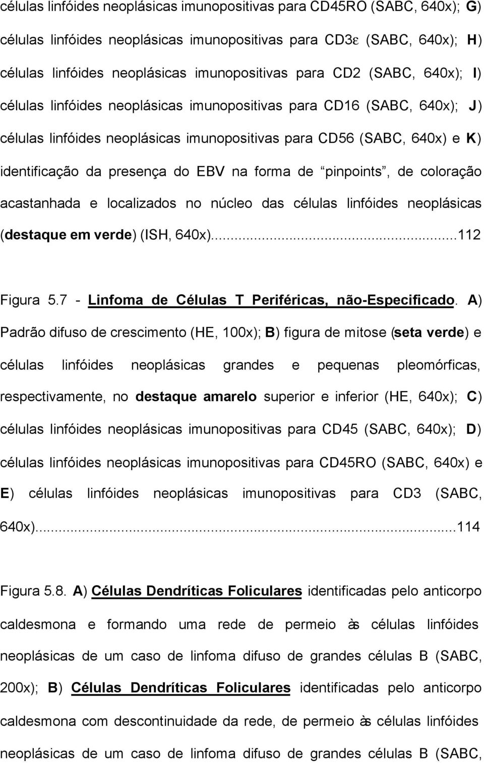 forma de pinpoints, de coloração acastanhada e localizados no núcleo das células linfóides neoplásicas (destaque em verde) (ISH, 640x)...112 Figura 5.