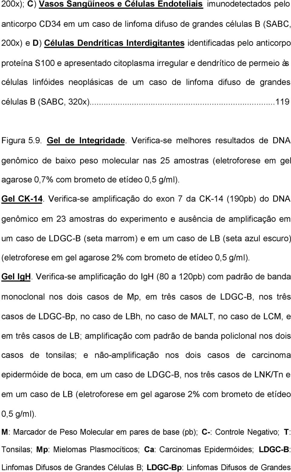 ..119 Figura 5.9. Gel de Integridade. Verifica-se melhores resultados de DNA genômico de baixo peso molecular nas 25 amostras (eletroforese em gel agarose 0,7% com brometo de etídeo 0,5 g/ml).