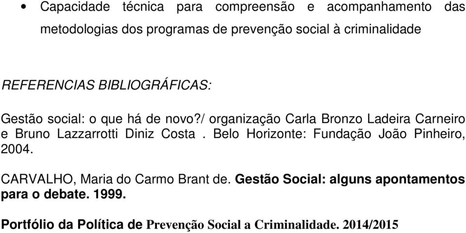 / organização Carla Bronzo Ladeira Carneiro e Bruno Lazzarrotti Diniz Costa.