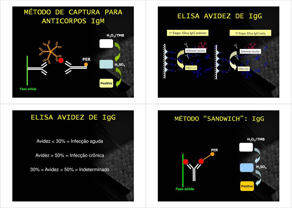 Fase sólida ELISA AVIDEZ DE IgG MÉTODO SANDWICH : IgG Avidez < 30% = Infecção aguda Avidez > 50%