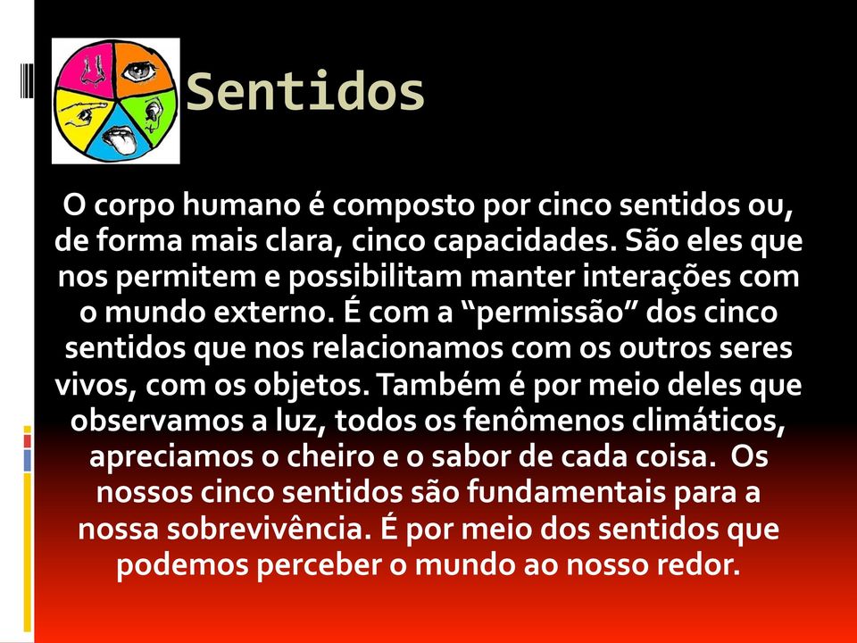 É com a permissão dos cinco sentidos que nos relacionamos com os outros seres vivos, com os objetos.