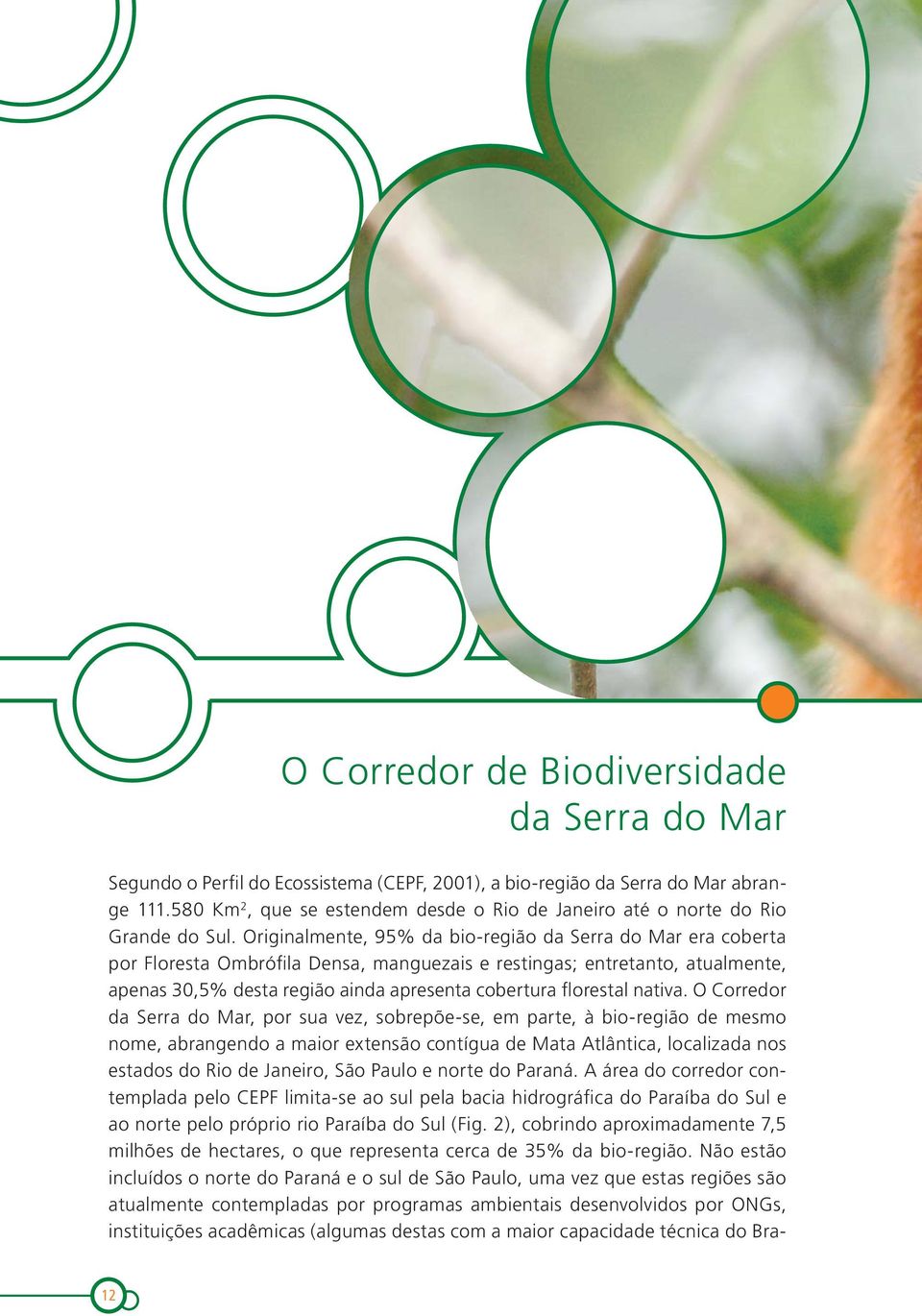 Originalmente, 95% da bio-região da Serra do Mar era coberta por Floresta Ombrófila Densa, manguezais e restingas; entretanto, atualmente, apenas 30,5% desta região ainda apresenta cobertura