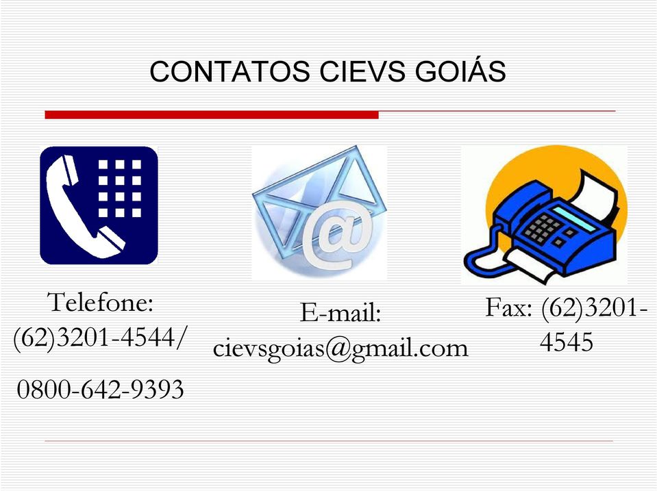 0800-642-9393 E-mail: