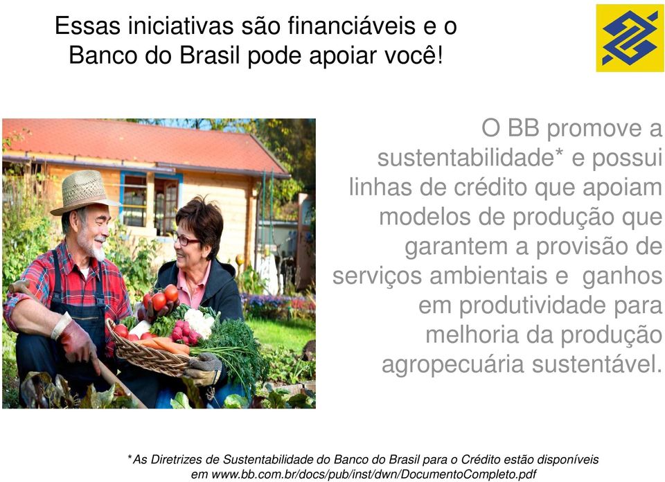 provisão de serviços ambientais e ganhos em produtividade para melhoria da produção agropecuária