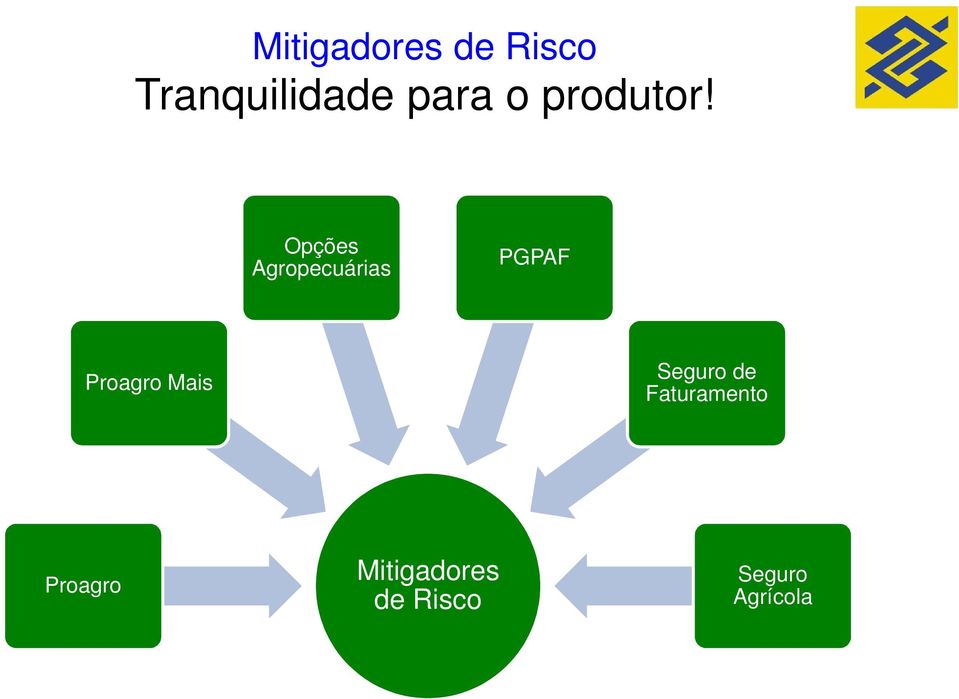 Opções Agropecuárias PGPAF Proagro Mais