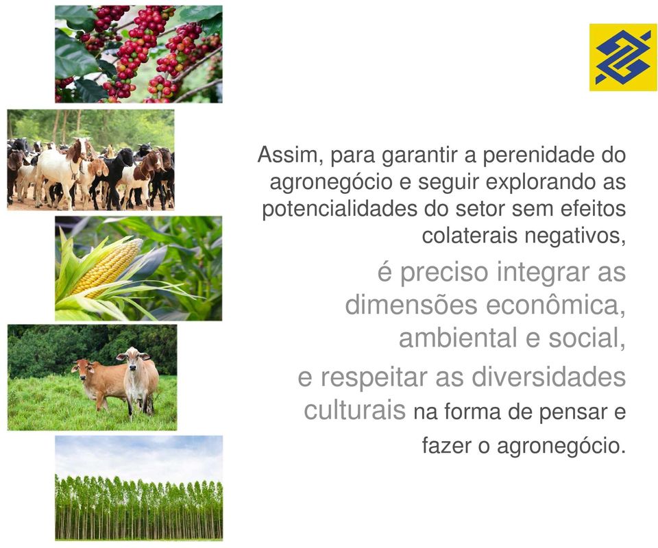 preciso integrar as dimensões econômica, ambiental e social, e