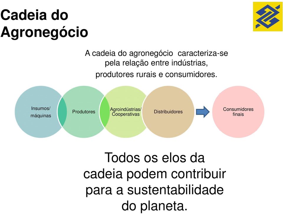 Insumos/ máquinas Produtores Agroindústrias/ Cooperativas Distribuidores