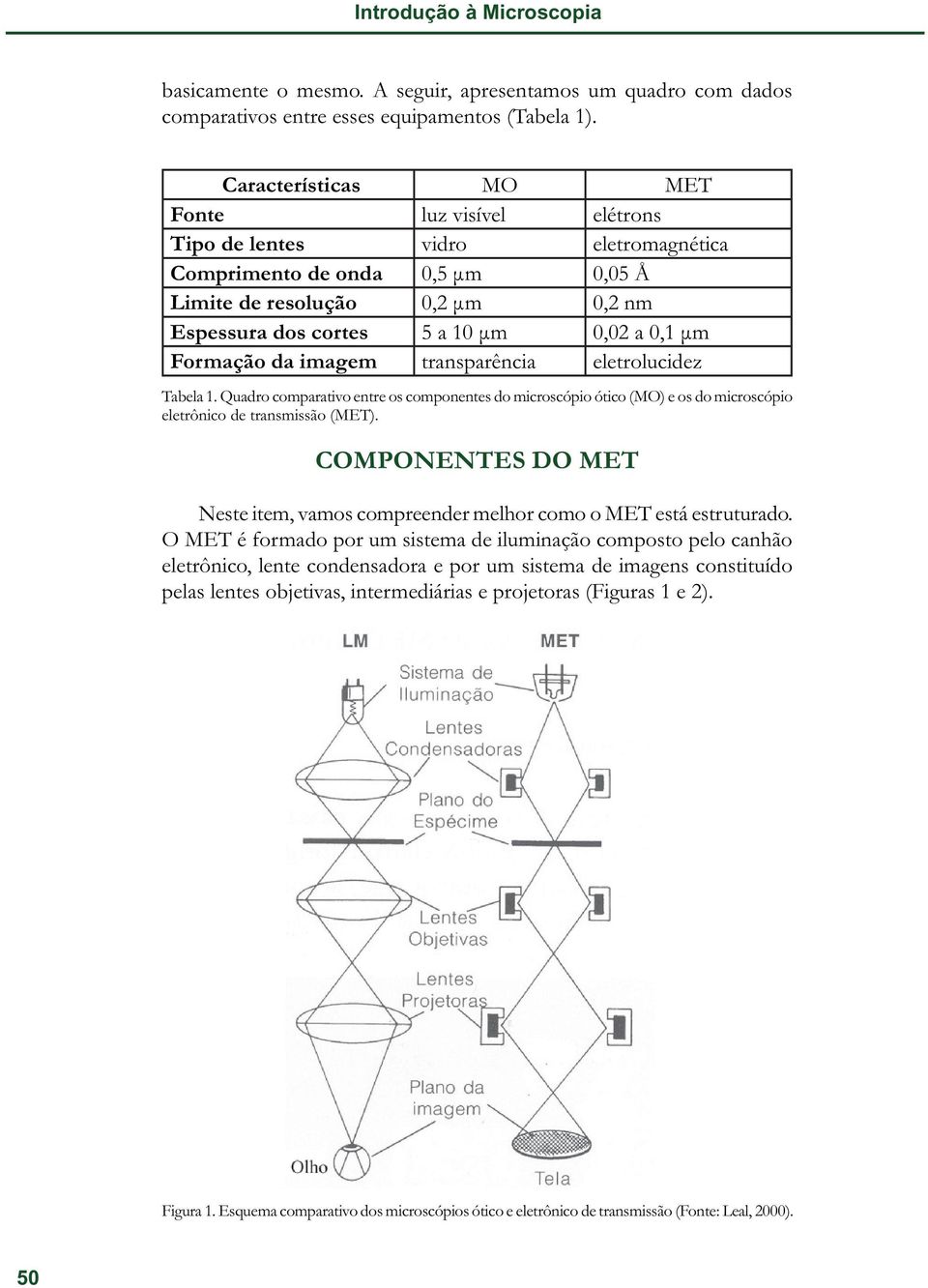 Formação da imagem transparência eletrolucidez Tabela 1. Quadro comparativo entre os componentes do microscópio ótico (MO) e os do microscópio eletrônico de transmissão (MET).