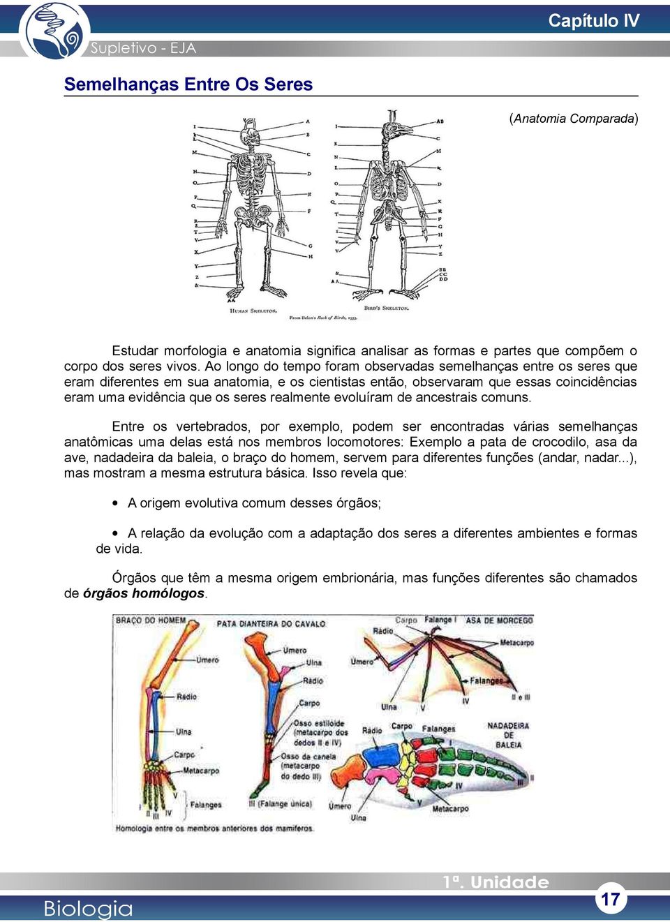 evoluíram de ancestrais comuns.