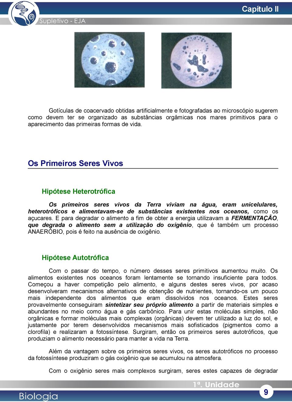 Os Primeiros Seres Vivos Hipótese Heterotrófica Os primeiros seres vivos da Terra viviam na água, eram unicelulares, heterotróficos e alimentavam-se de substâncias existentes nos oceanos, como os