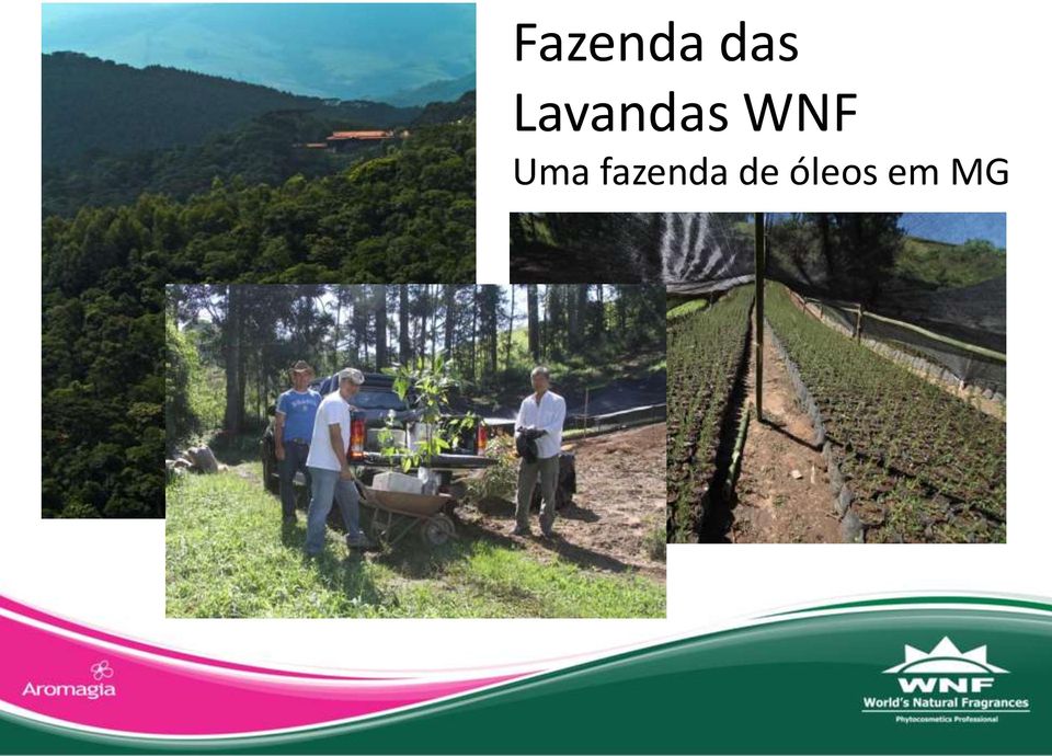 Uma fazenda de