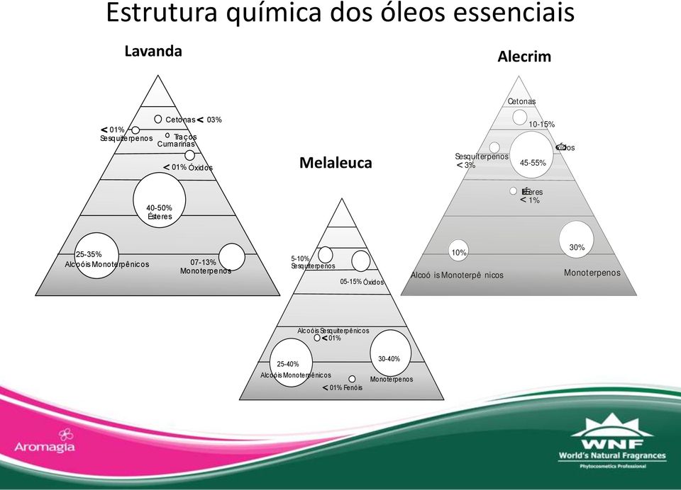 25-35% Alc oóis Monoterpênic os 07-13% Monoterpenos 5-10% Sesquiterpenos 05-15% Óxidos 10% Alcoóis