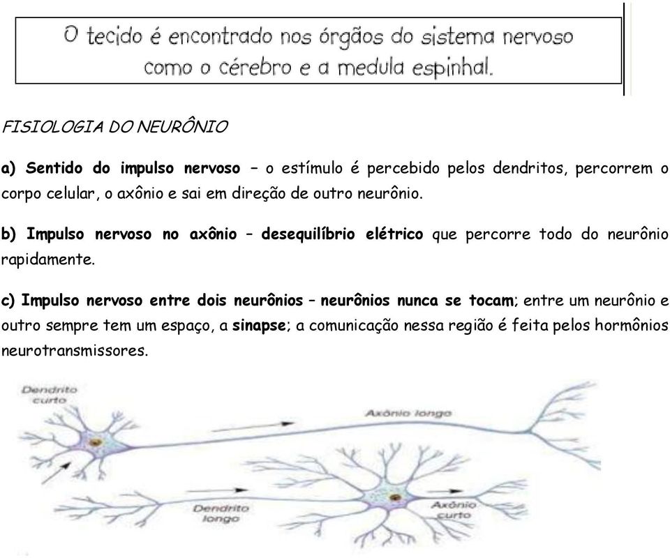 b) Impulso nervoso no axônio desequilíbrio elétrico que percorre todo do neurônio rapidamente.