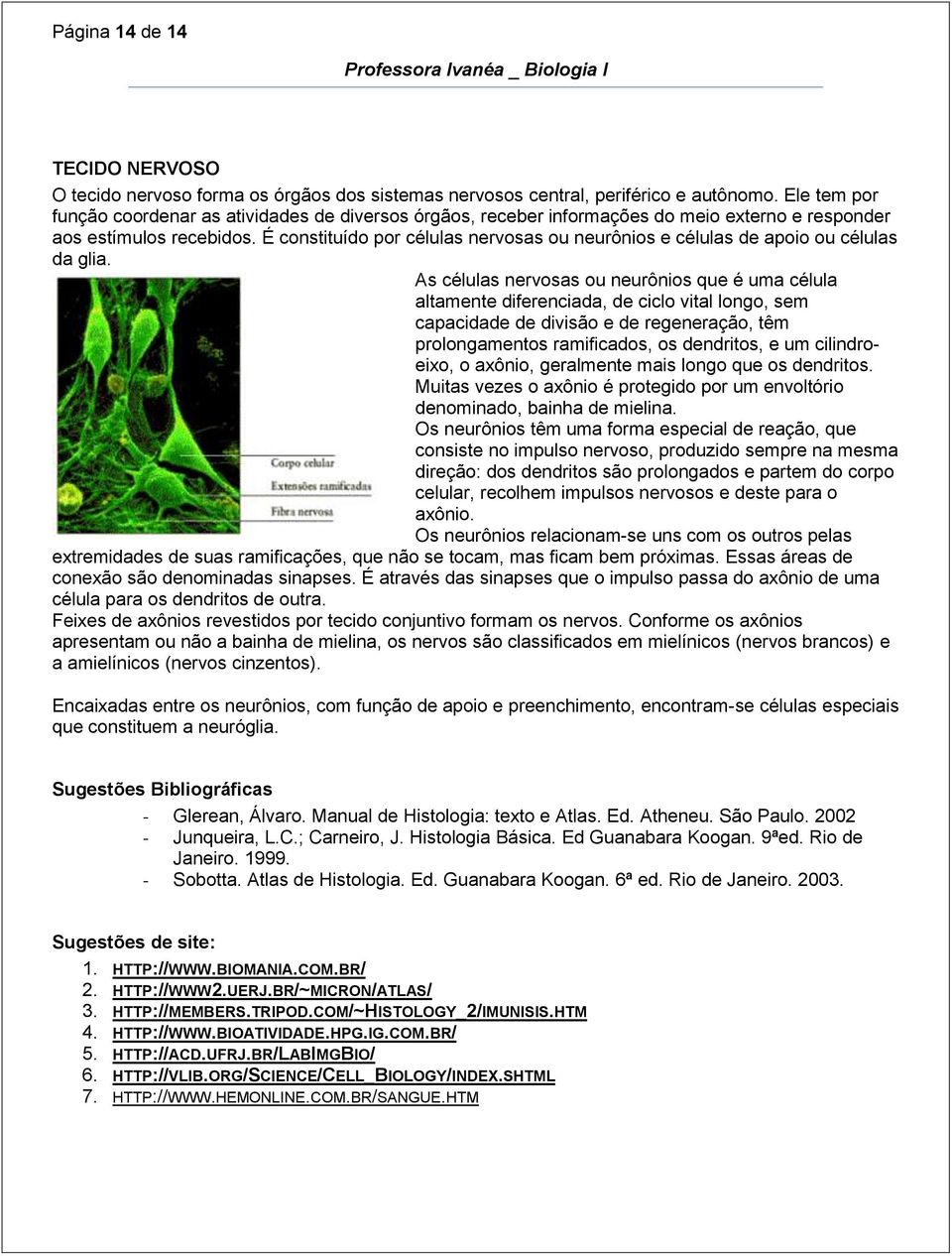 É constituído por células nervosas ou neurônios e células de apoio ou células da glia.