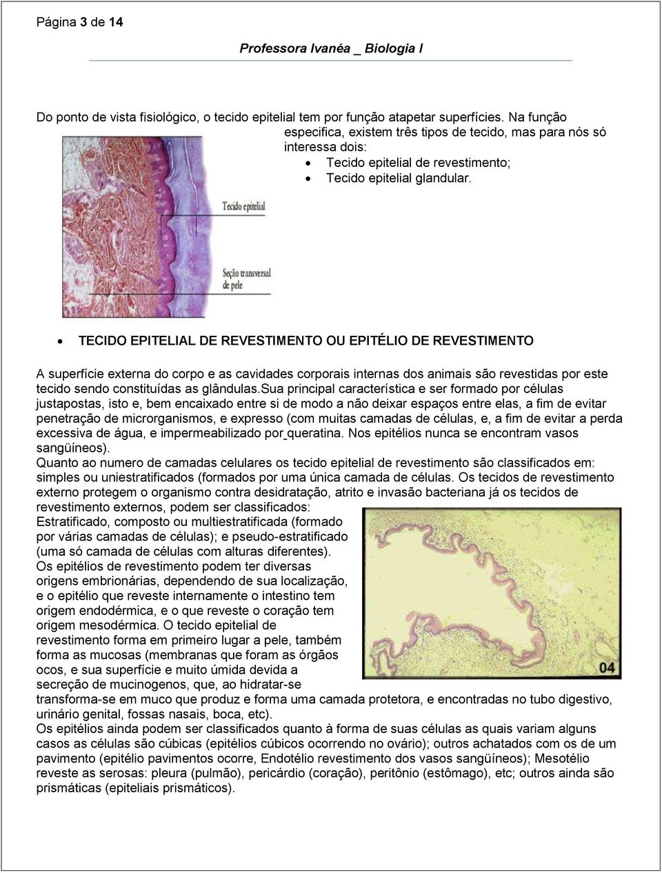 TECIDO EPITELIAL DE REVESTIMENTO OU EPITÉLIO DE REVESTIMENTO A superfície externa do corpo e as cavidades corporais internas dos animais são revestidas por este tecido sendo constituídas as glândulas.