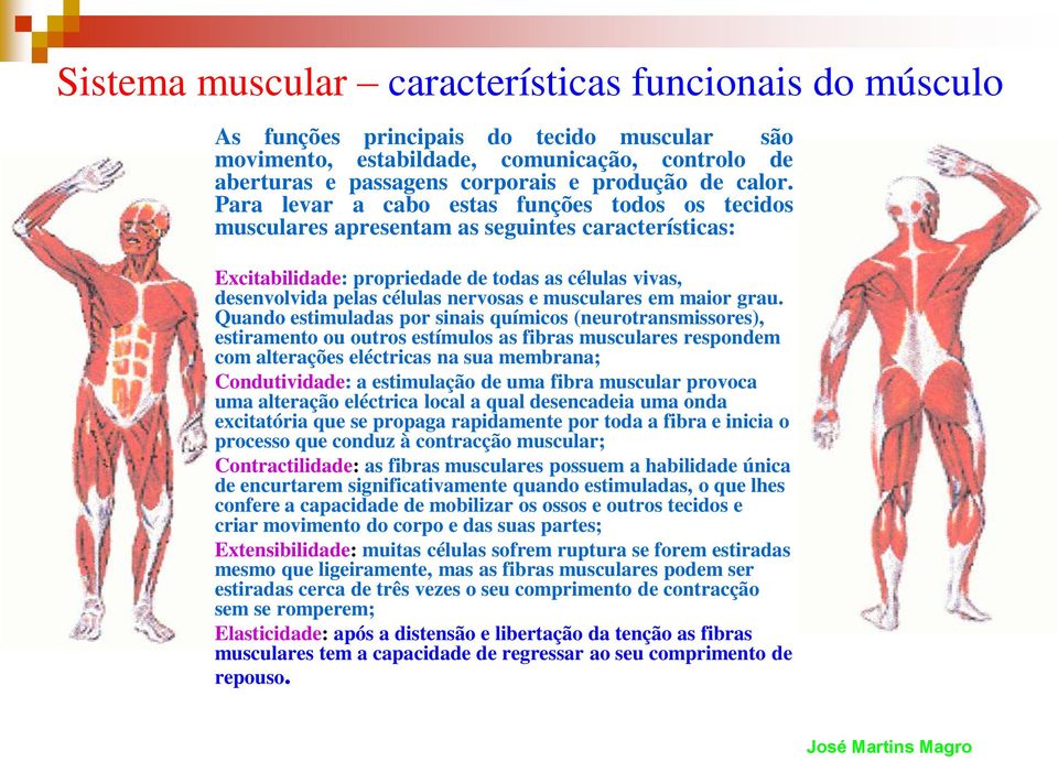 Para levar a cabo estas funções todos os tecidos musculares apresentam as seguintes características: Excitabilidade: propriedade de todas as células vivas, desenvolvida pelas células nervosas e