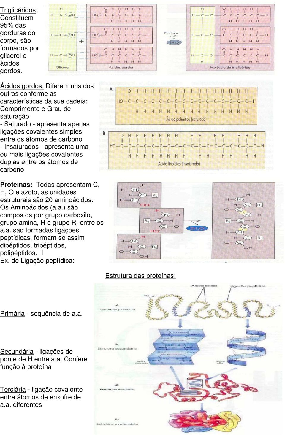 Insaturados - apresenta uma ou mais ligações covalentes duplas entre os átomos de carbono Proteínas: Todas apresentam C, H, O e azoto, as unidades estruturais são 20 aminoácidos. Os Aminoácidos (a.a.) são compostos por grupo carboxilo, grupo amina, H e grupo R, entre os a.