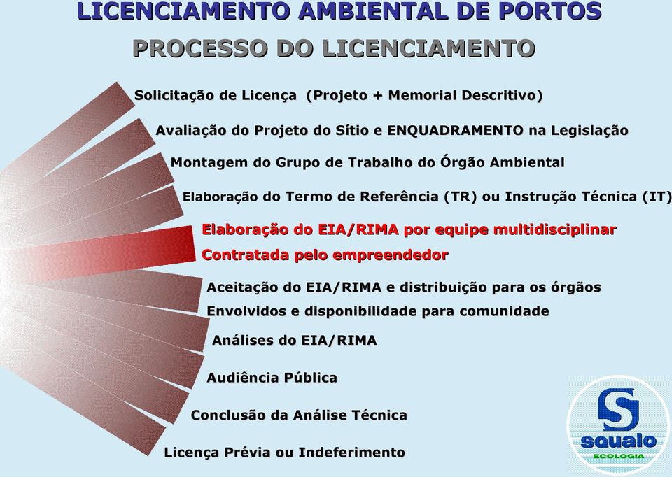 Elaboração do EIA/RIMA por equipe multidisciplinar Contratada pelo empreendedor Aceitação do EIA/RIMA e distribuição para os órgãos