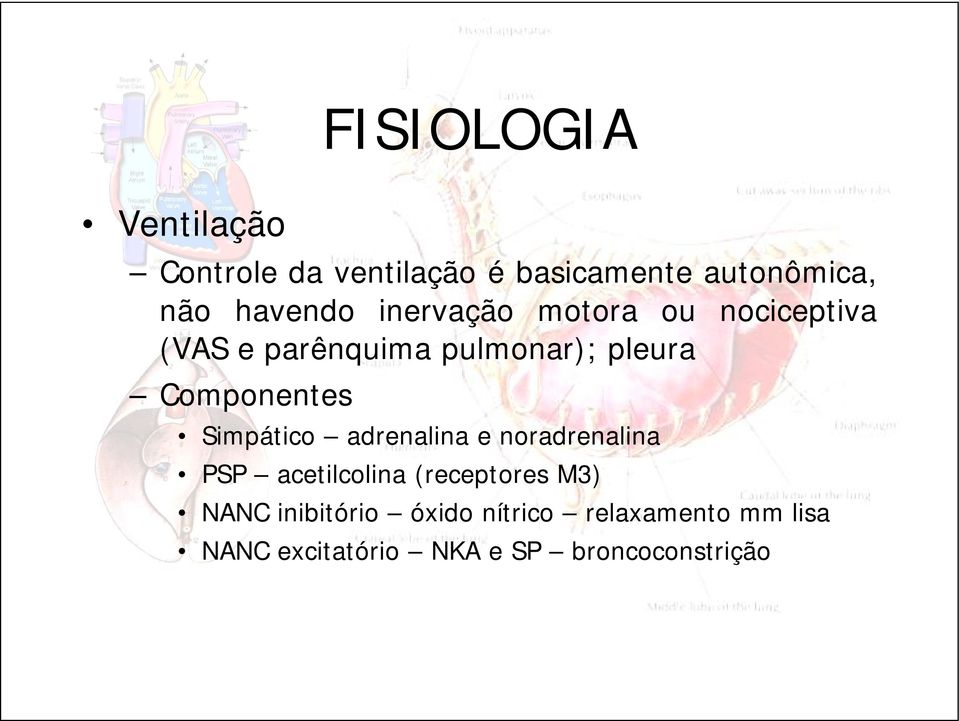 Componentes Simpático adrenalina e noradrenalina PSP acetilcolina (receptores