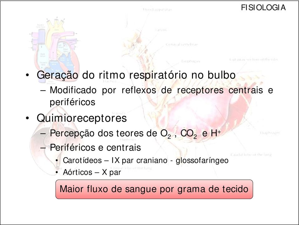 teores de O 2, CO 2 e H + Periféricos e centrais Carotídeos IX par