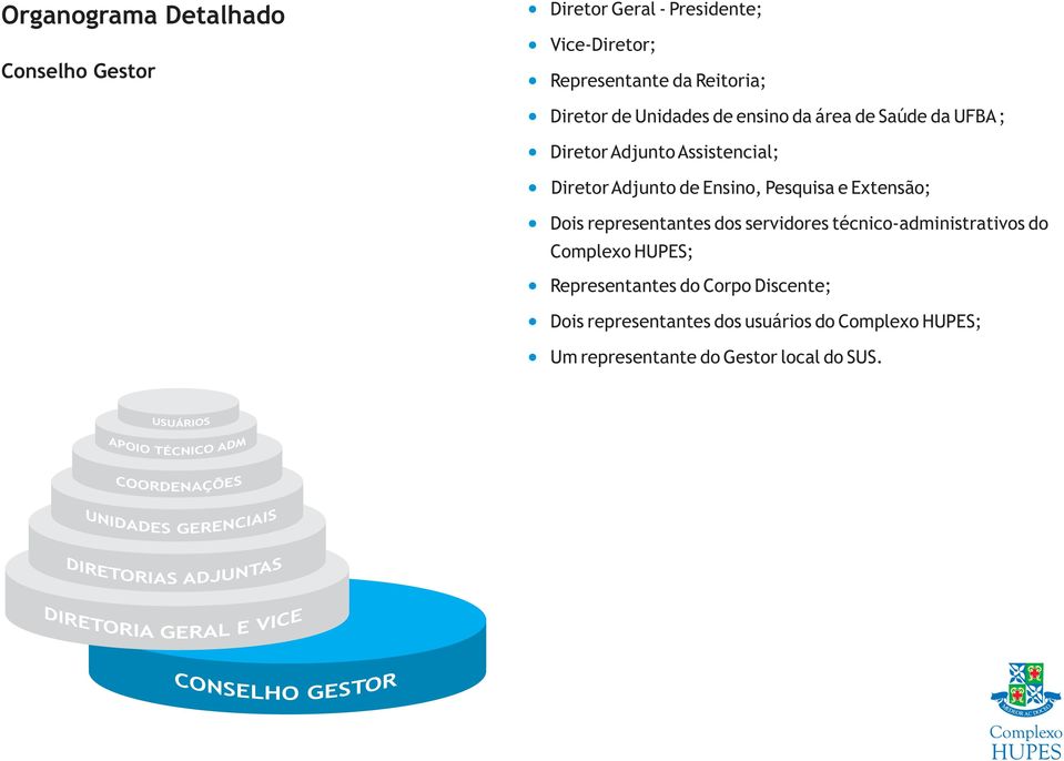 Extensão; Dois representantes dos servidores técnico-administrativos do Complexo HUPES; Representantes do