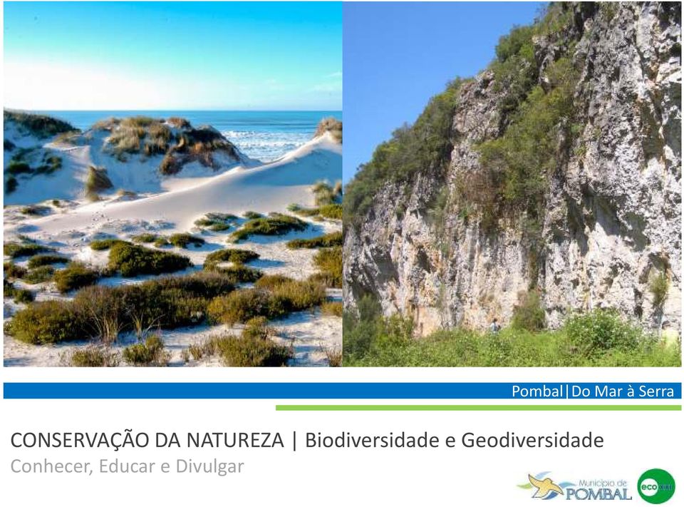 Biodiversidade e