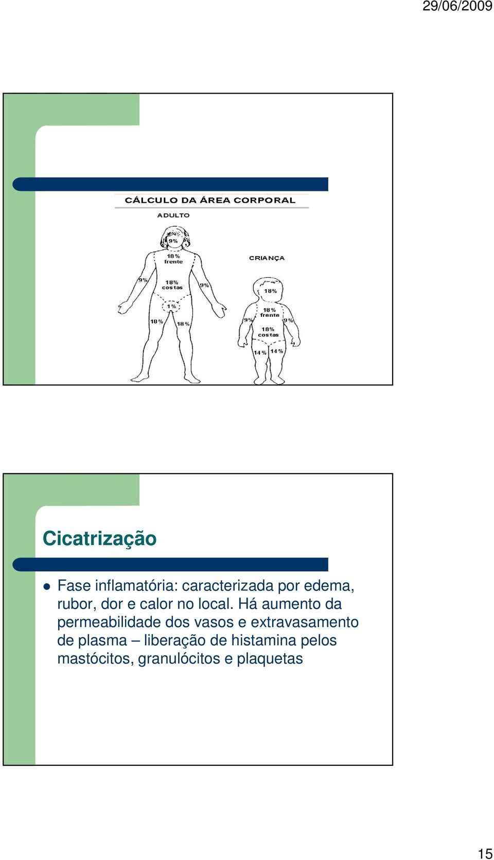 Há aumento da permeabilidade dos vasos e