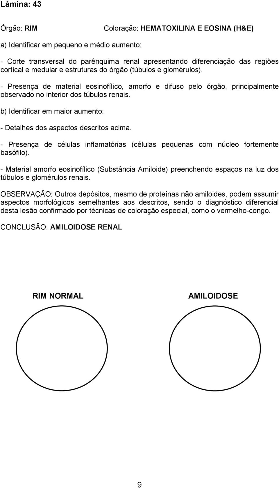 b) Identificar em maior aumento: - Detalhes dos aspectos descritos acima. - Presença de células inflamatórias (células pequenas com núcleo fortemente basófilo).