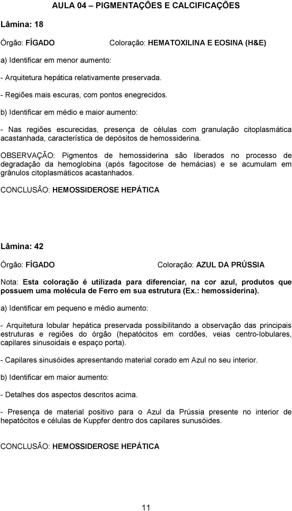 OBSERVAÇÃO: Pigmentos de hemossiderina são liberados no processo de degradação da hemoglobina (após fagocitose de hemácias) e se acumulam em grânulos citoplasmáticos acastanhados.