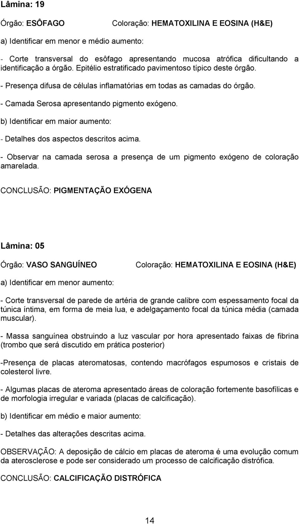 b) Identificar em maior aumento: - Detalhes dos aspectos descritos acima. - Observar na camada serosa a presença de um pigmento exógeno de coloração amarelada.