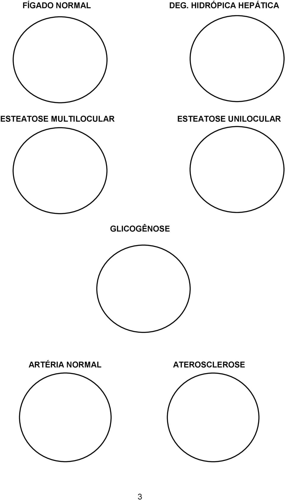 MULTILOCULAR ESTEATOSE