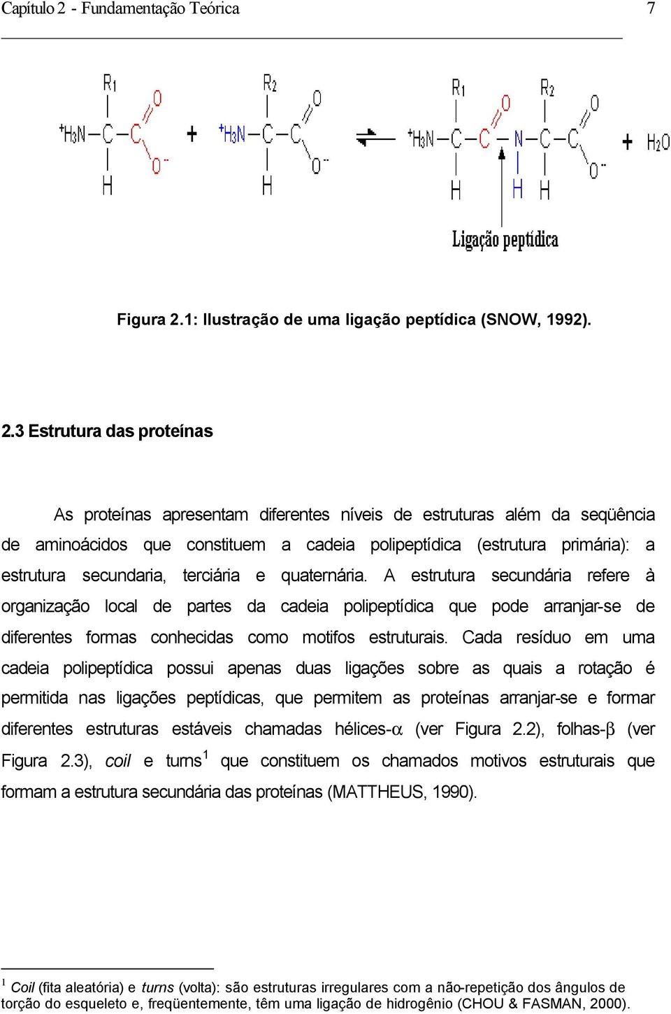 1: Ilustração de uma ligação peptídica (SNOW, 1992). 2.