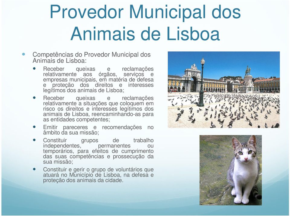 animais de Lisboa, reencaminhando-as para as entidades competentes; Emitir pareceres e recomendações no âmbito da sua missão; Constituir grupos de trabalho independentes, permanentes ou temporários,