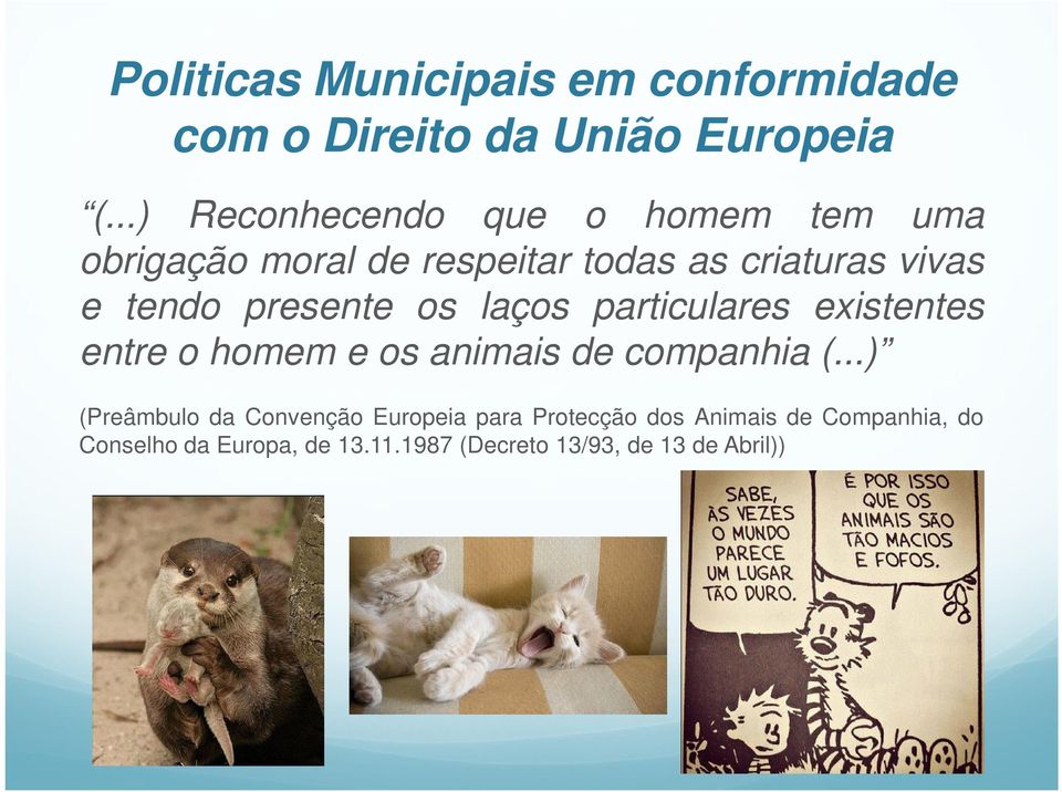 presente os laços particulares existentes entre o homem e os animais de companhia (.