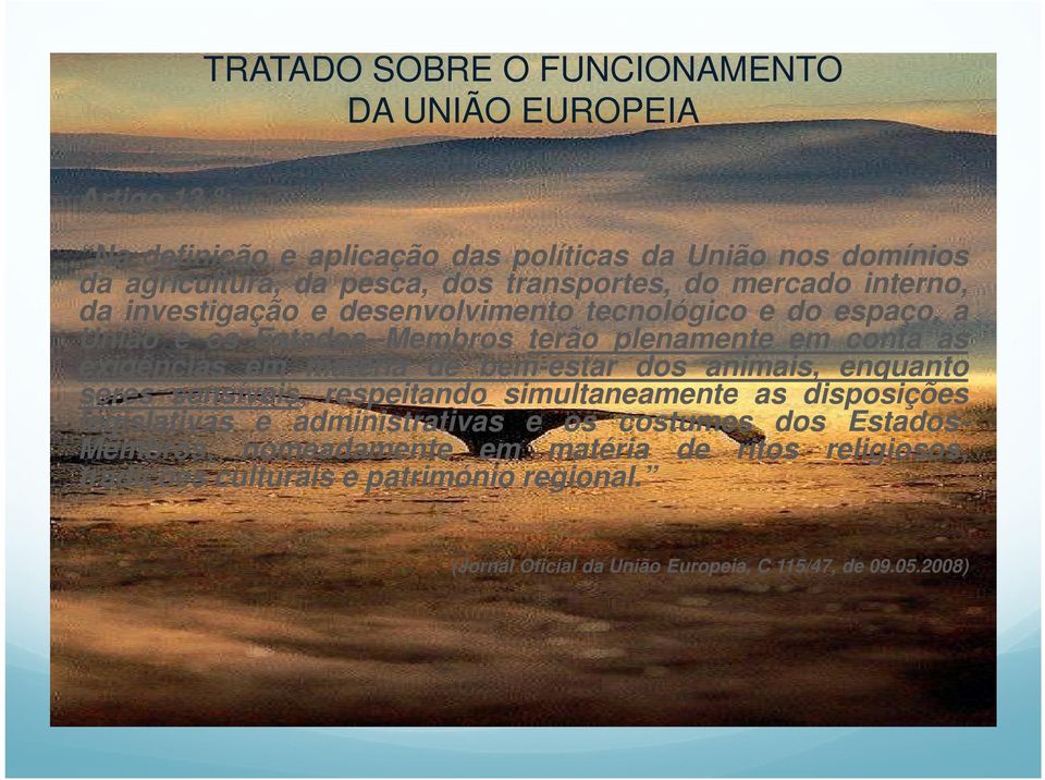 desenvolvimento tecnológico e do espaço, a União e os Estados--Membros terão plenamente em conta as exigências em matéria de bem-estar dos animais, enquanto