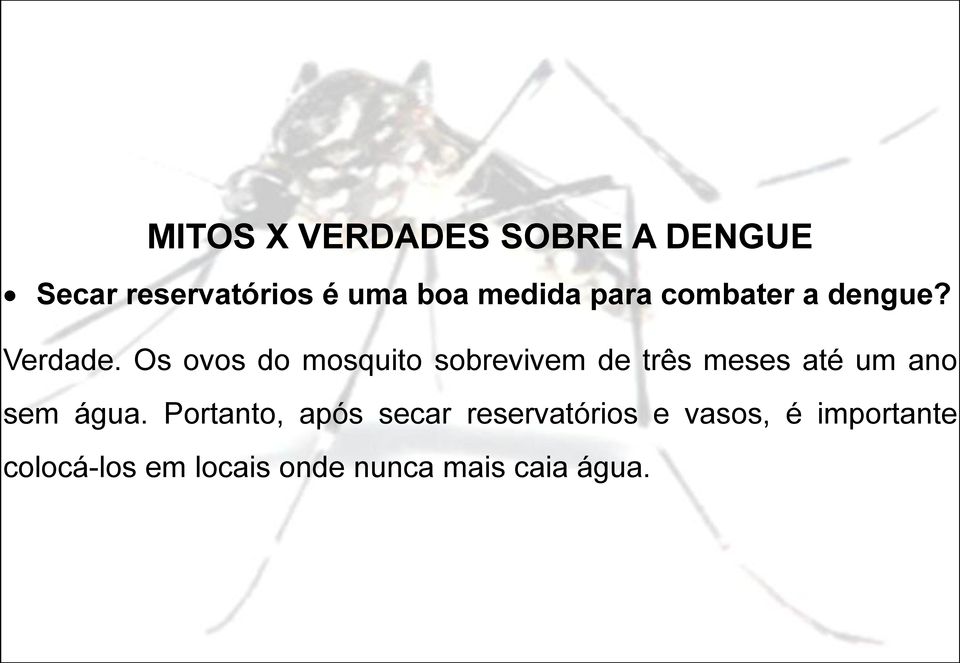 Os ovos do mosquito sobrevivem de três meses até um ano sem