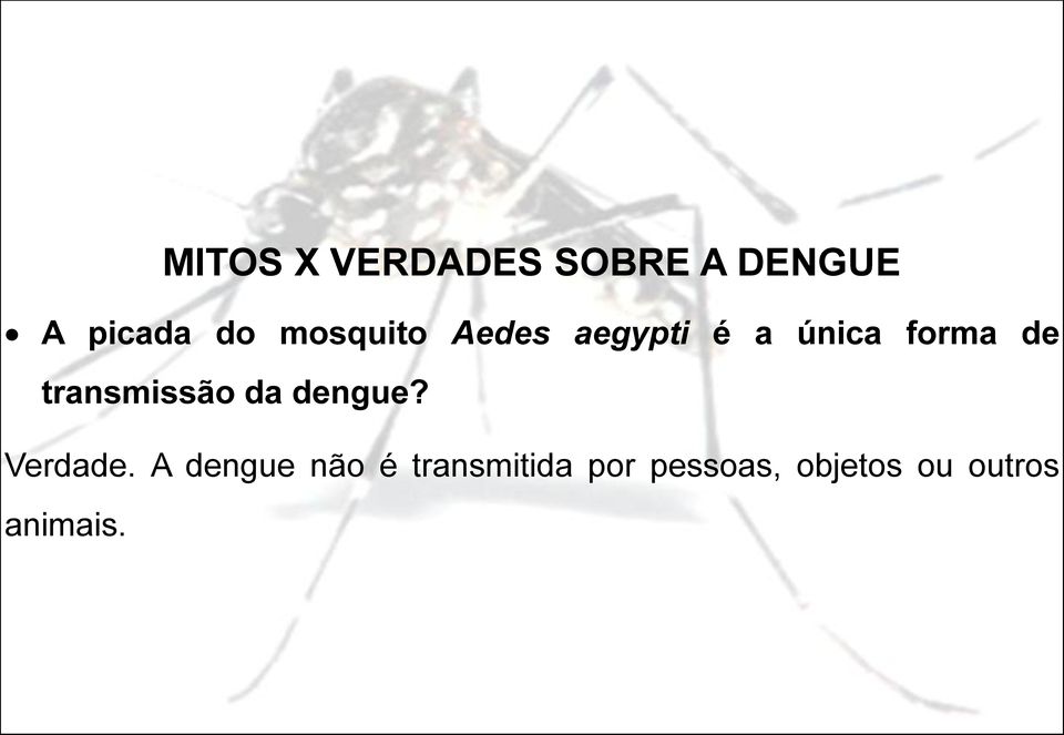 dengue? Verdade.